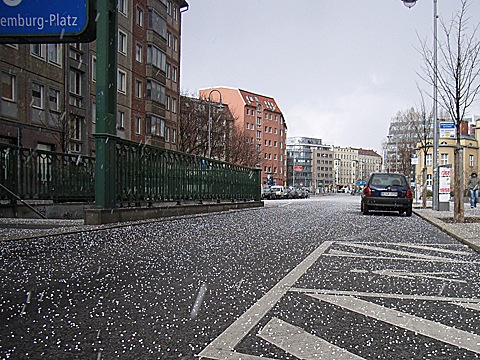 2008-03-26-1220.jpg
