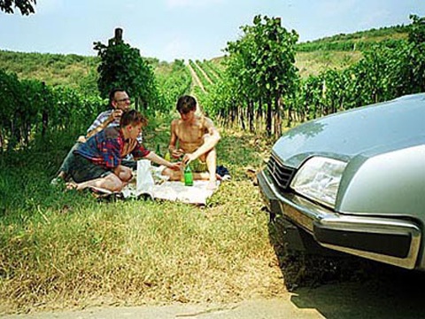 1990-08-01-cxpicknick.jpg