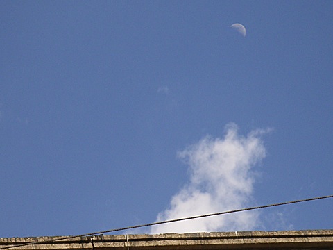 2008-05-11-1734.jpg