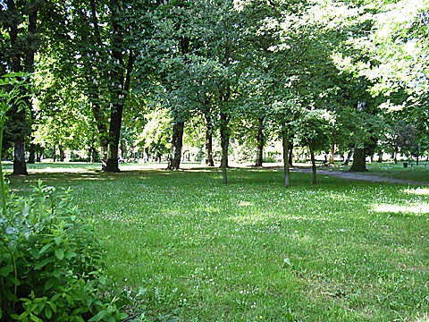 2008-06-01-1621.jpg