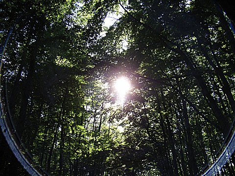 2008-06-01-1713b.jpg