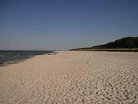 2008-06-02-1715.jpg