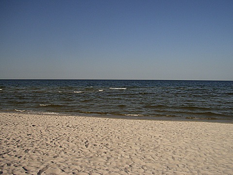 2008-06-02-1716.jpg