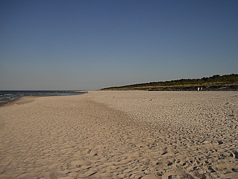 2008-06-02-1817a.jpg