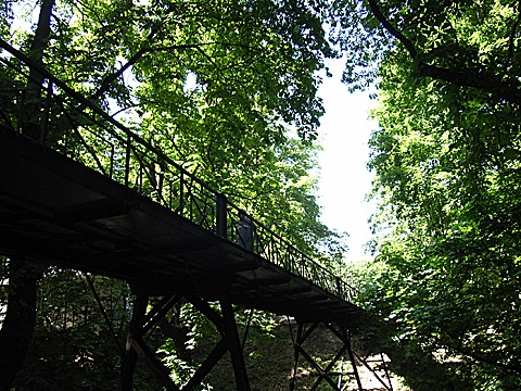 2008-06-03-1530.jpg