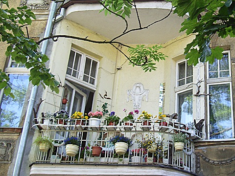 2008-06-03-1531.jpg