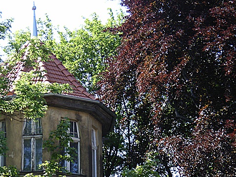 2008-06-03-1538.jpg