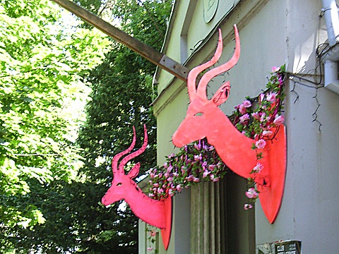 2008-06-03-1549.jpg