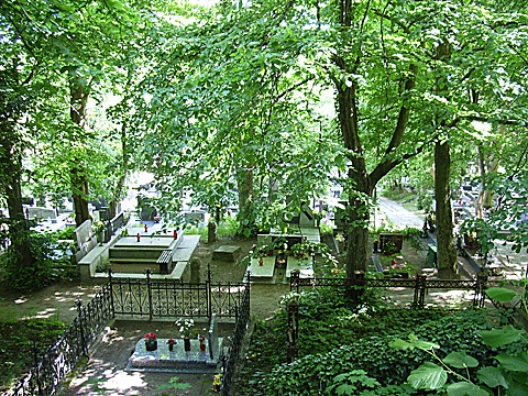 2008-06-03-1638.jpg