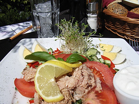 2008-06-04-1245.jpg