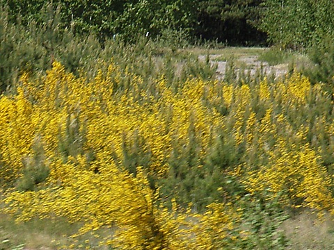 2008-06-04-1441.jpg
