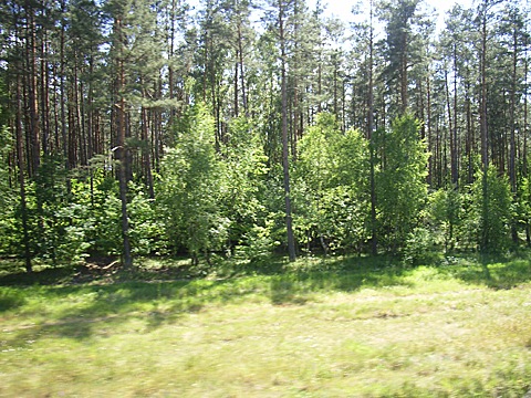 2008-06-04-1442.jpg