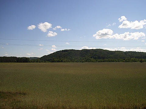 2008-06-04-1443a.jpg