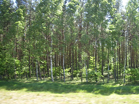 2008-06-04-1443c.jpg