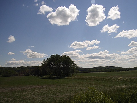 2008-06-04-1447.jpg