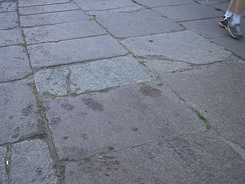 2008-06-04-1915.jpg