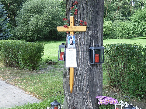 2008-07-23-1420.jpg