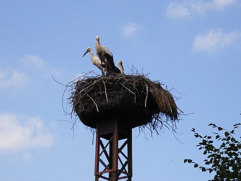 2008-07-23-1536.jpg