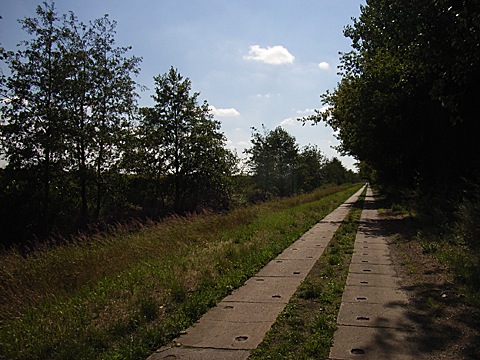2008-07-23-1546.jpg