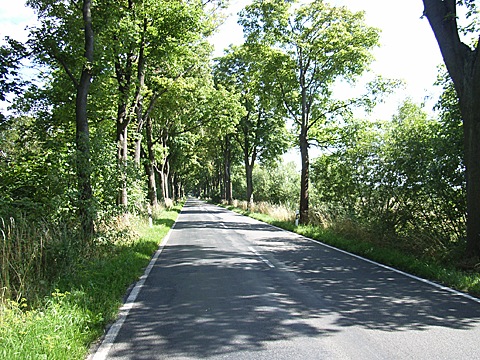 2008-07-23-1558.jpg