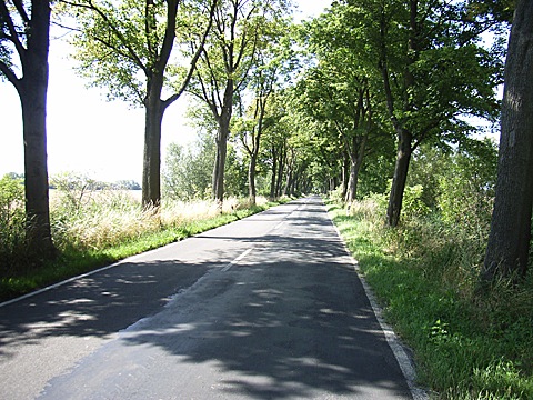 2008-07-23-1559.jpg