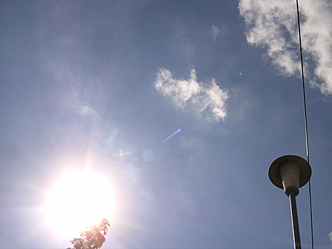 2008-07-23-1623.jpg