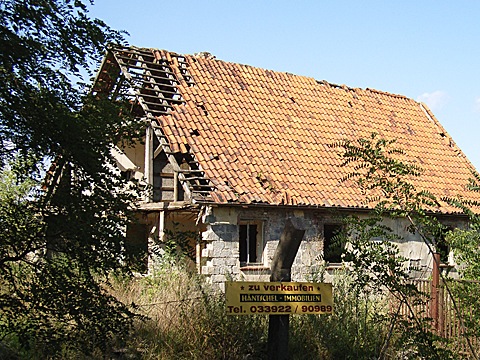 2008-07-23-1654.jpg