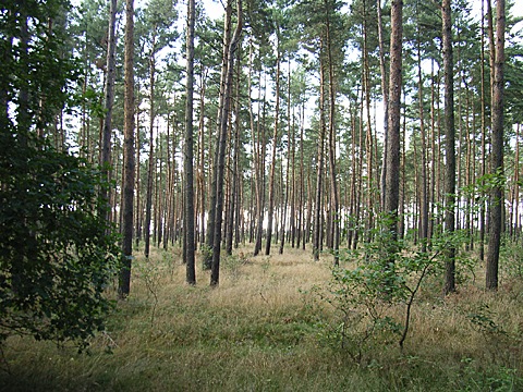 2008-07-23-1748.jpg