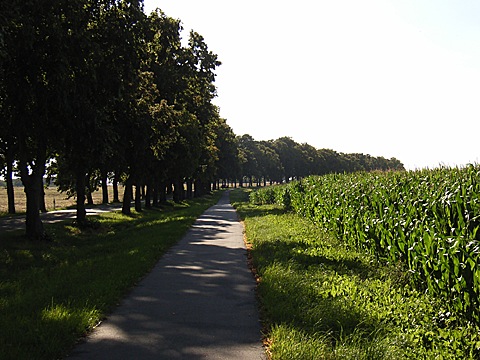 2008-07-23-1753.jpg