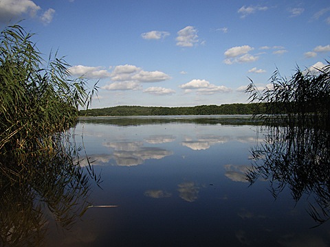 2008-07-23-1810.jpg