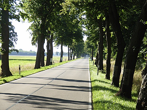 2008-07-23-1845.jpg