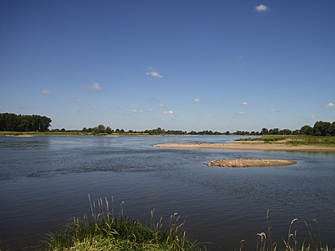 2008-07-24-1226a.jpg