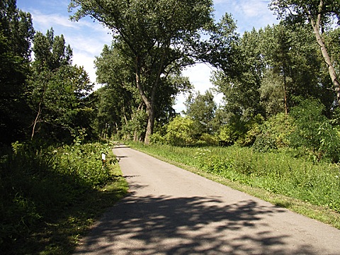 2008-07-24-1417.jpg