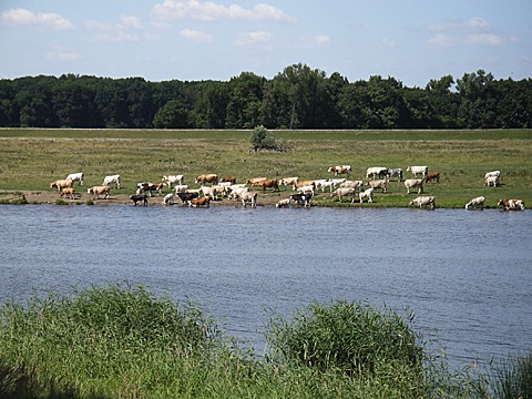 2008-07-24-1426.jpg