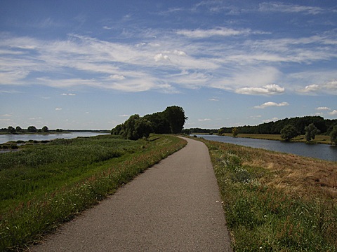 2008-07-24-1440.jpg