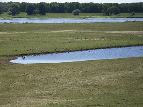 2008-07-24-1451b.jpg