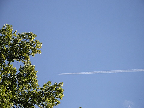 2008-07-24-1608.jpg