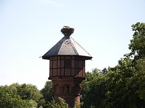 2008-07-24-1610.jpg