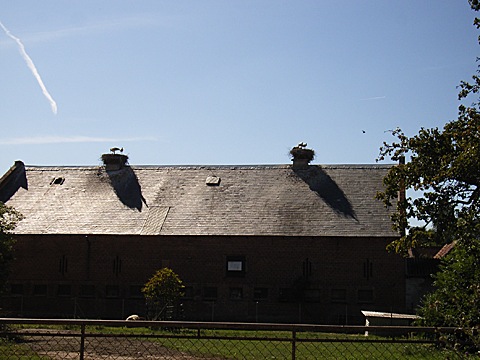 2008-07-24-1613.jpg