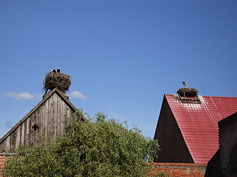 2008-07-24-1614.jpg