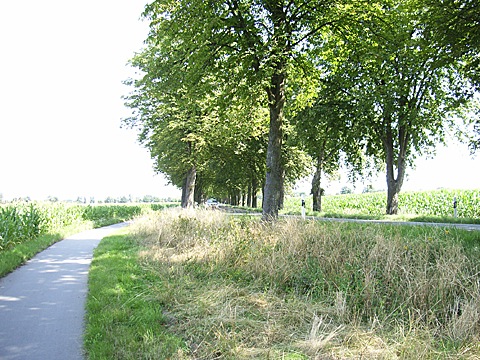 2008-07-25-1102.jpg