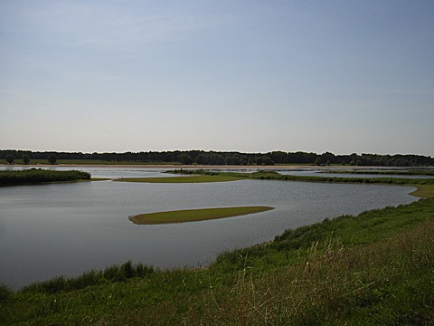2008-07-25-1156.jpg