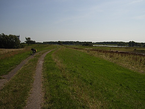 2008-07-25-1203.jpg