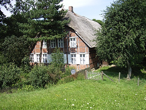 2008-07-25-1253.jpg