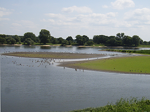 2008-07-25-1407.jpg