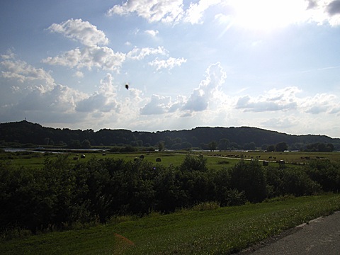 2008-07-25-1759.jpg
