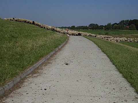 2008-07-26-1045a.jpg