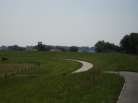 2008-07-26-1119.jpg
