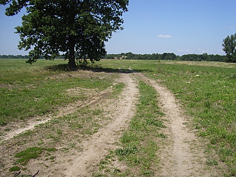 2008-07-26-1308.jpg