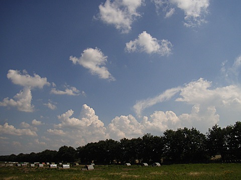 2008-07-26-1455.jpg